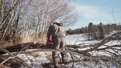 segado de madera con sierra de motor - tiro ancho