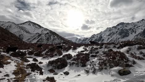 snowy slopes of tserko ri