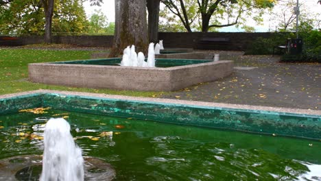 green water fountain splashing in natural botanical garden during daytime