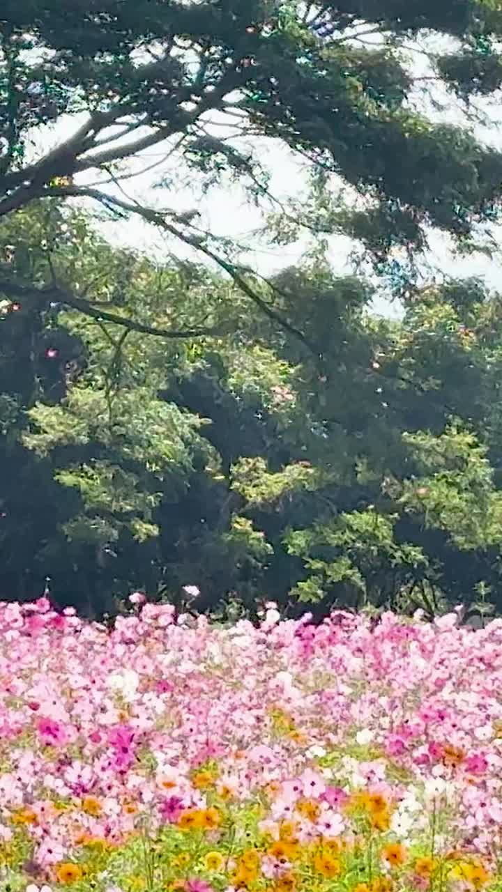 울창한 푸른 나무 에 활기찬 우주 꽃