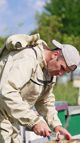 Industrious beekeeper bent over the hive holding a tool. Specialist takes two heavy frames from a hive. Sunny day backdrop. Vertical video