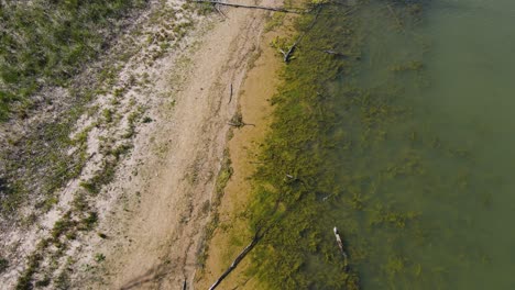 pista de estilo de ojo de pájaro de costa lenta