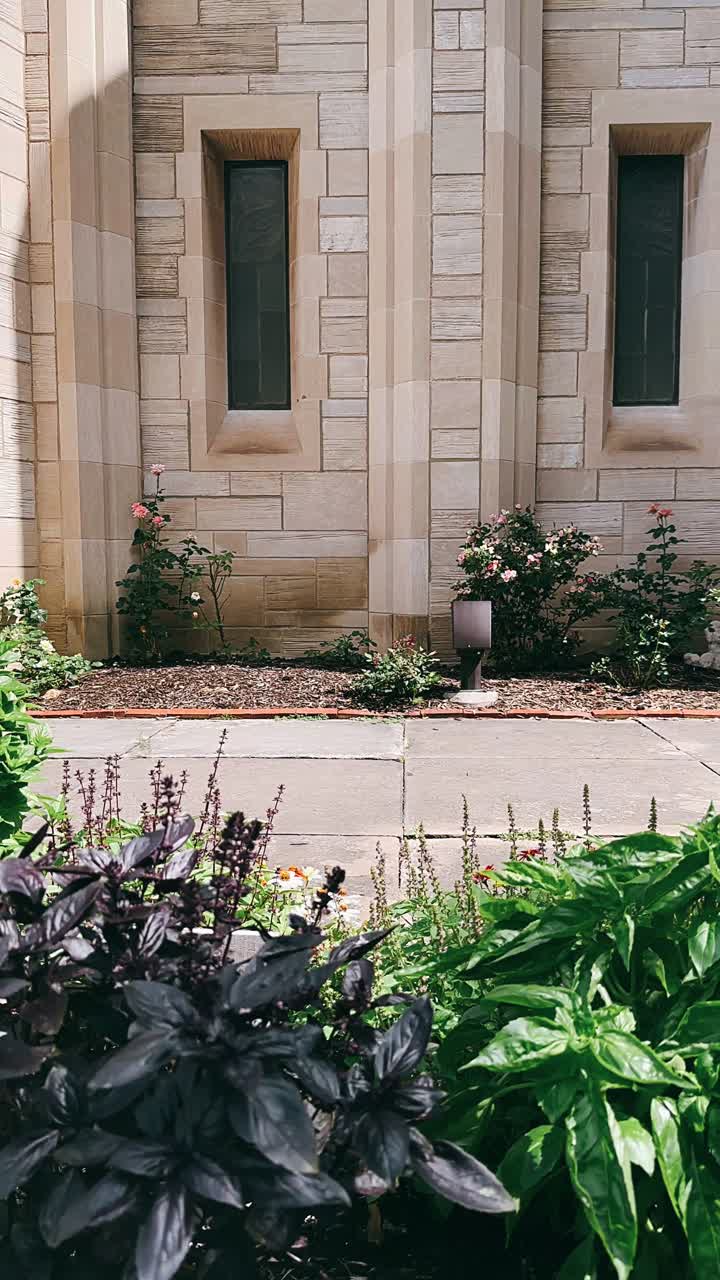 Muro di pietra con fiori e piante.