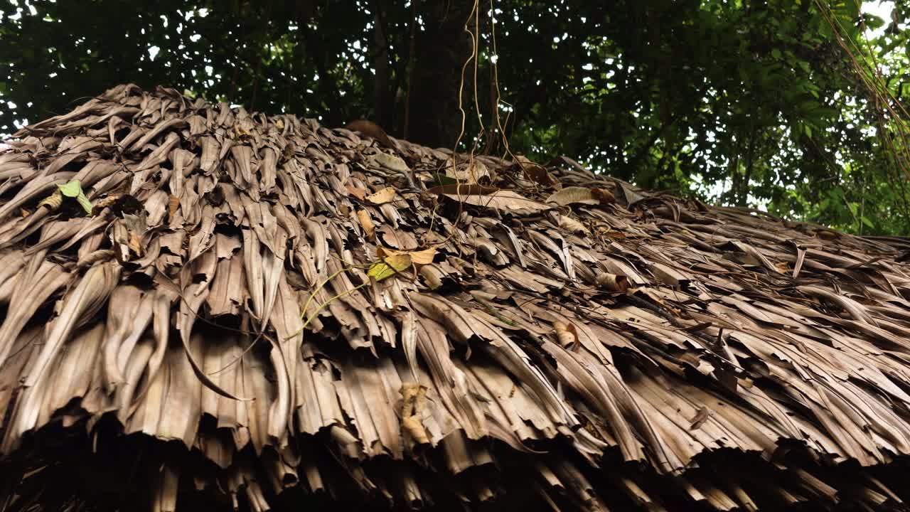 A close-up view of a traditional thatched roof made from natural materials in Mari Mari village, Kota Kinabalu, Malaysia