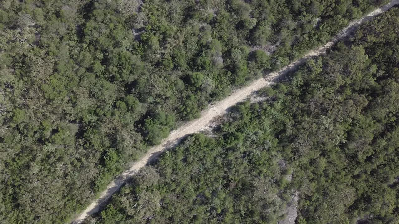 Aerial View of a Dirt Road Winding Through a Lush Forest