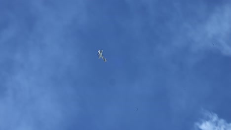 avión ejecutando bucles y senderos en el cielo azul