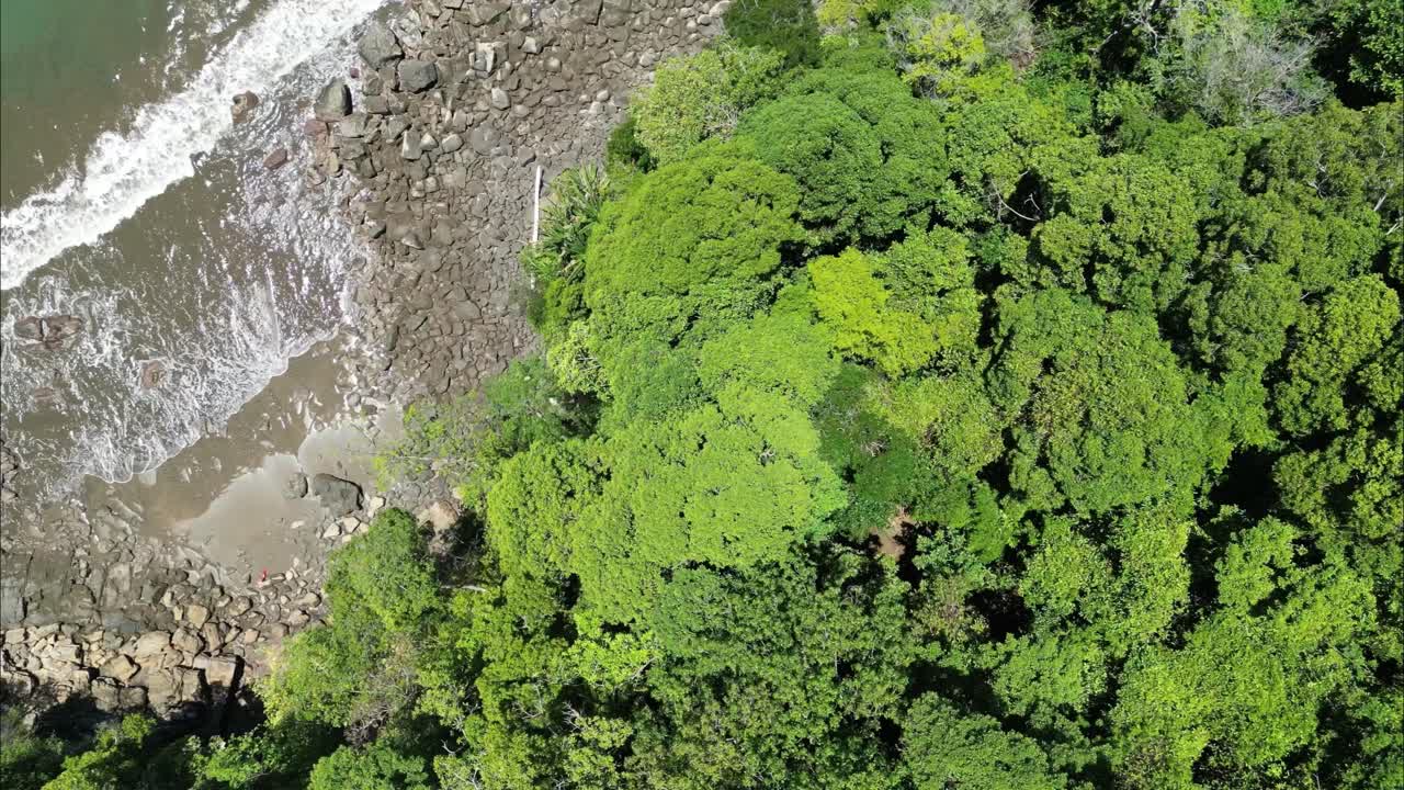 volando entre la densa vegetación y revelando una pequeña playa oculta en la costa de costa rica