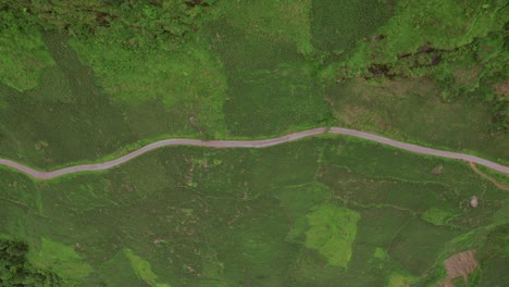 aerial view of winding road through lush green tea plantation
