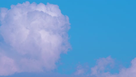 lapso de tiempo de hermosas nubes esponjosas blancas en movimiento rápido y cielo en un día soleado, plano medio