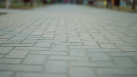 a shot of a paved park path, with the camera focusing on the intricate pattern of stone bricks. the background is intentionally blurred, hinting at the subtle movement of people in the distance