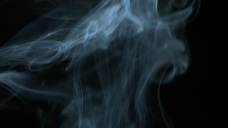 clouds of blue smoke slowly rising graceful twists up on black background. cigar smoke blowing to top. closeup, isolated on black background.