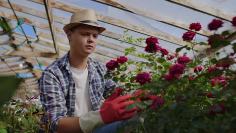 hermoso hombre florista en delantal y guantes rosados de pie y felizmente trabajando con flores en el invernadero.