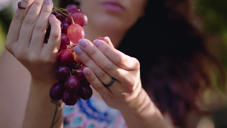 girl-picks-a-grape-from-a-cluster-and-eats-it-close-shot
