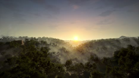 misty sunrise over the mountains and forest