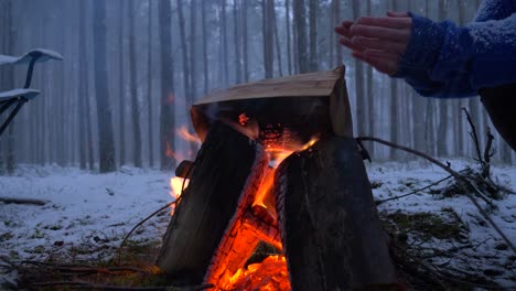 Close-up-camera-view-of-bonfire-in-the-forest-during-winter