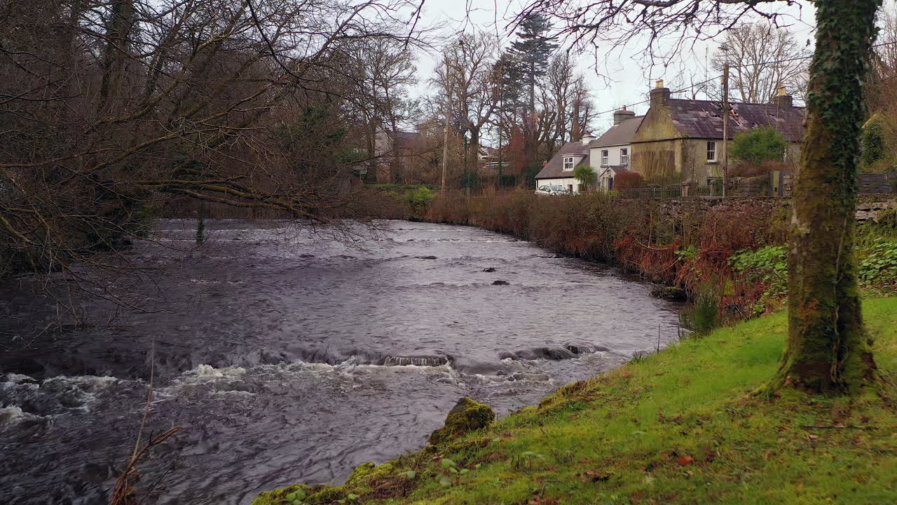 Ein schnell fließender Fluss durchzieht ein Waldgebiet, mit Ästen, die über das Wasser hängen, Drohnenanflug auf das Wasser über Gras.