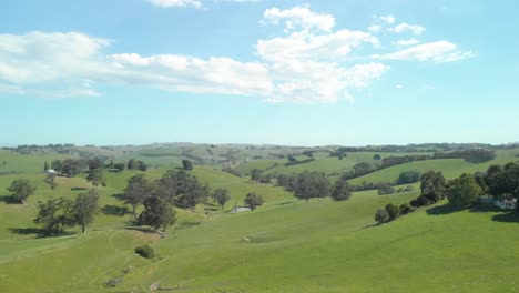 aerial shot of the green lush rolling hills of the stzelecki ranges australia