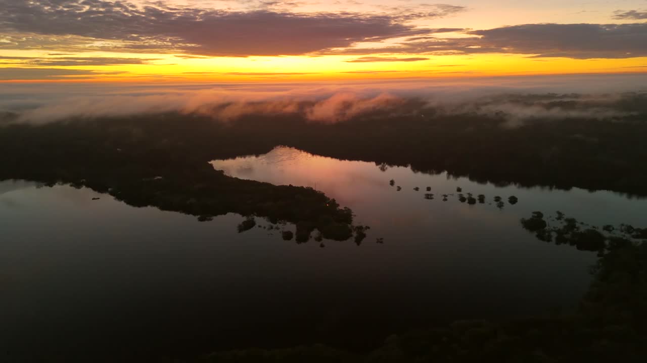 vista panorámica del dosel de la selva tropical cubierto de niebla en las orillas del río juma, amazonas, brasil