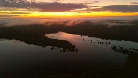 scenic view of mist-covered rainforest canopy on juma river banks, amazonas, brazil