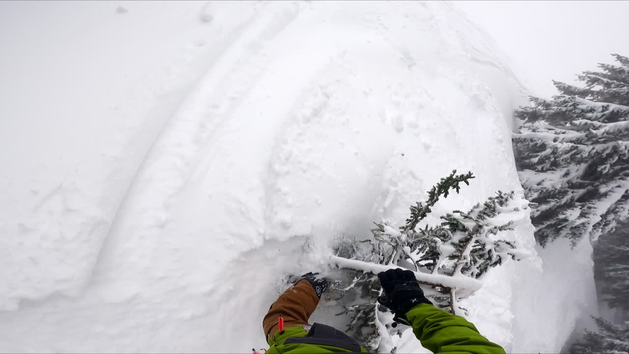 First person's view footage of the snowboard ride in the off-piste area of the forest. Sportsman following his fellow trips overt the little tree and falls into the snow.