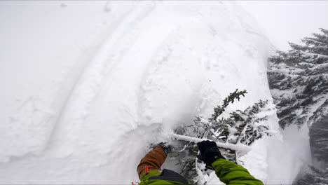 first person's view footage of the snowboard ride in the off-piste area of the forest. sportsman following his fellow trips overt the little tree and falls into the snow.