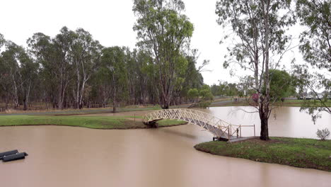 un puente peatonal sobre un pequeño lago con la selva australiana en el fondo