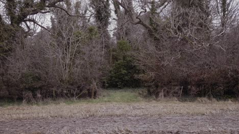 Old-abandoned-farmland-gate-with-overgrown-shrubs-in-winter,-still-shot