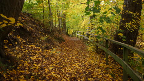 moving-slowly-on-autumn-path-in-forest