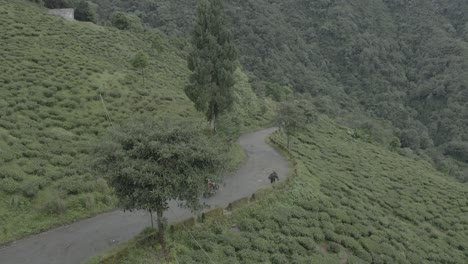 beautiful view of the mountains, established aerial shot