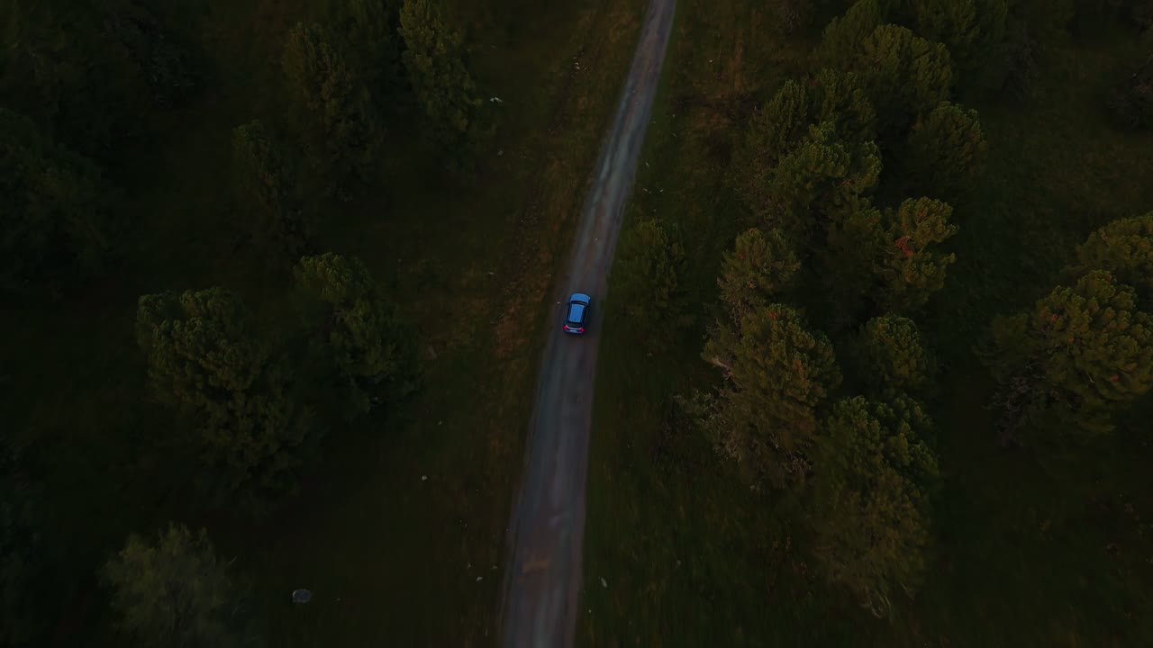 drone tracking of a car while driving on a forest road. Top view