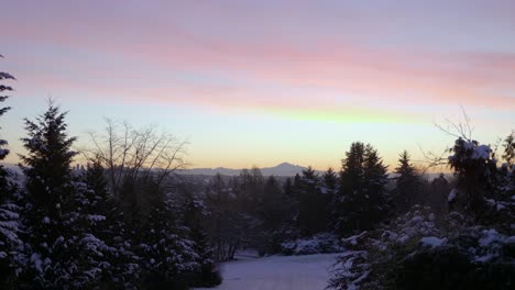 winter landscape during sunset, mount baker in background