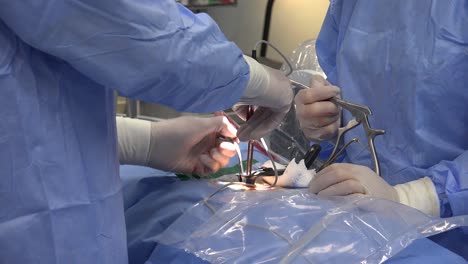 minimally invasive surgeries encompass surgical techniques that limit the size of incisions needed and so lessen wound healing time, associated pain and risk of infection