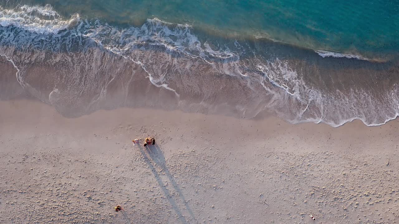 день собак на пляже!