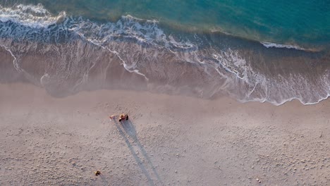 ¡día del perro en la playa!
