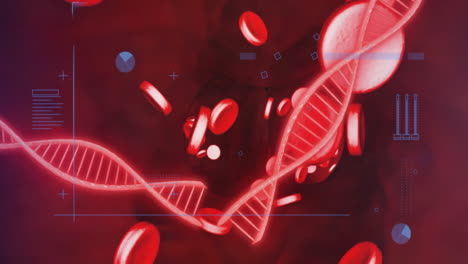 animation of dna strands and digital data processing with red blood cells