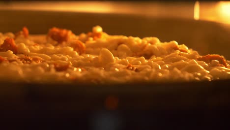 pizza italiana horneada en horno