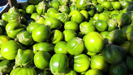 Scarlet-eggplant-being-sold-in-open-market,-pan