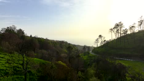 Drone-view-of-a-hills-and-road-with-a-lot-of-trees