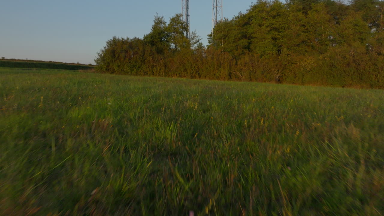 dos torres celulares rodeadas de árboles en tierras de cultivo durante el amanecer, ángulo aéreo bajo inclinado hacia arriba