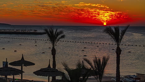 beautiful timelapse of sunset on a beach with palm trees and patios