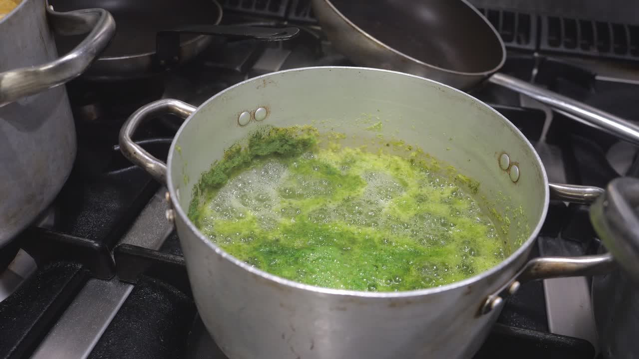 Close-up of green herb sauce with spinach Spinacia oleracea and basil Ocimum basilicum boiling in a stainless pot on a gas stove in a professional kitchen