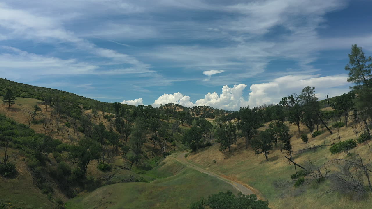 toma aérea detrás de un árbol para revelar llanuras cubiertas de hierba, colinas, valles, montañas, nubes cúmulos, en el norte de california