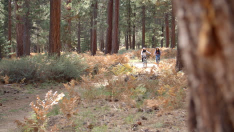 lesbian couple holding hands on bikes in a forest