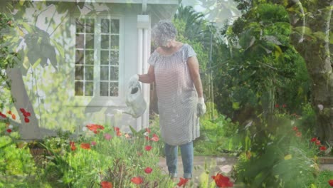 animation of trees over senior caucasian woman watering plants in garden