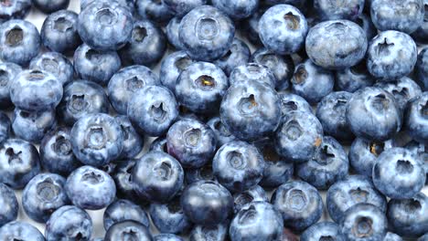raw ripe great bilberry, background