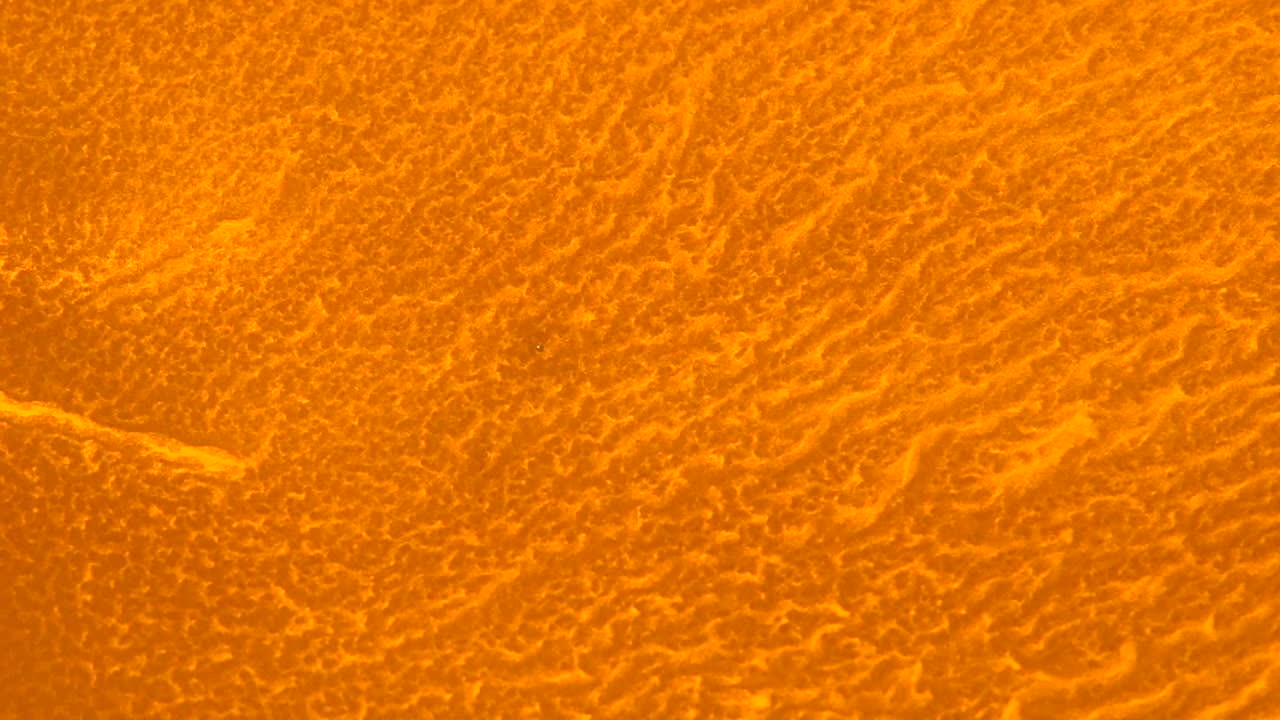 Planet Dune, Expedition FJ16 , Hour 262 , Earth Year 2473 -  an all natural AbstractVideoClip