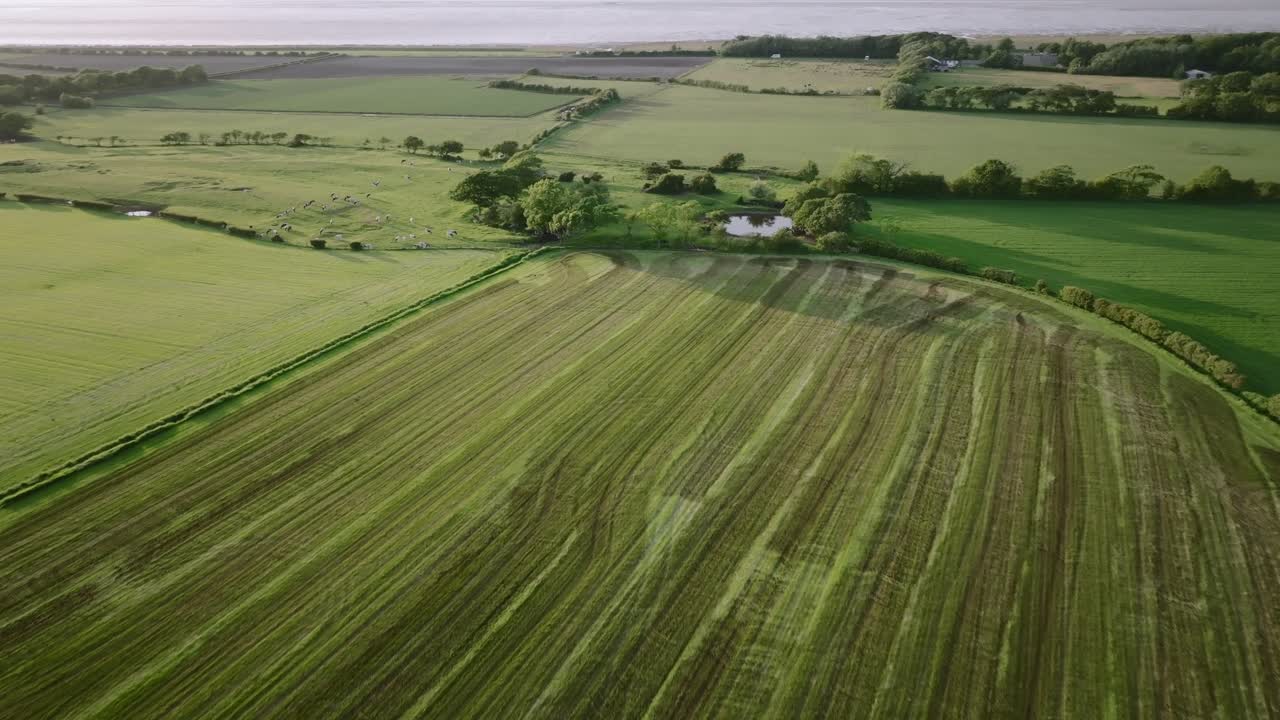 Flying over patchwork of arable coastal farmland fields. Pilling Sands, Lancashire, UK.