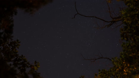 Timelapse-of-a-beautiful-starry-night-sky-spinning-over-time-behind-silhouetted-tree-branches