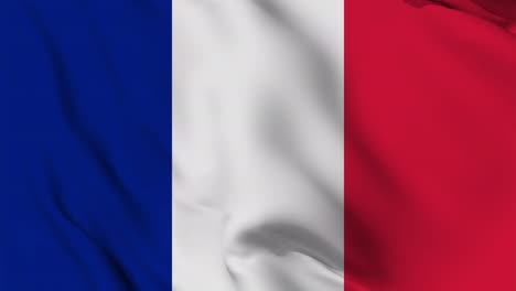 france flag seamless waving animation