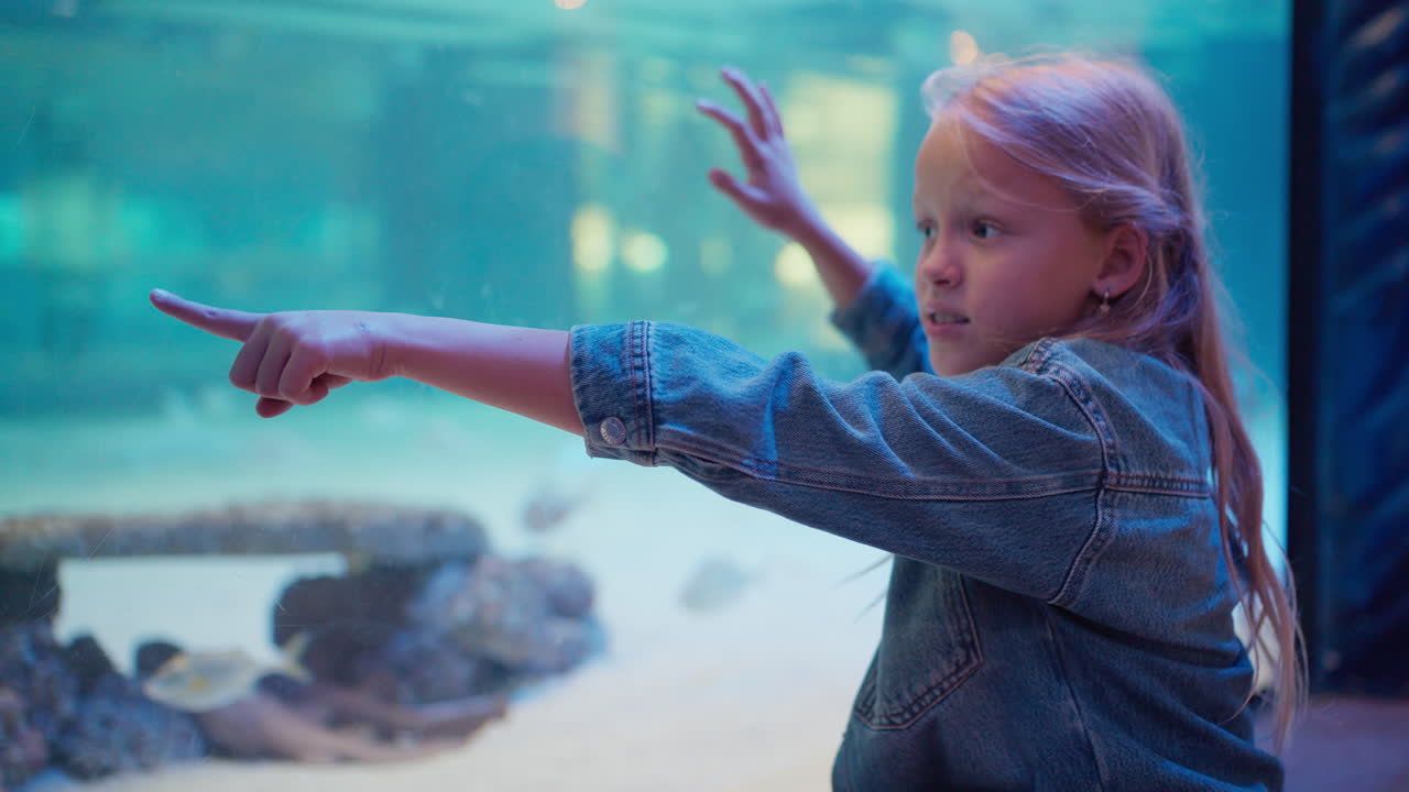 Girl Watching Sharks at the Aquarium